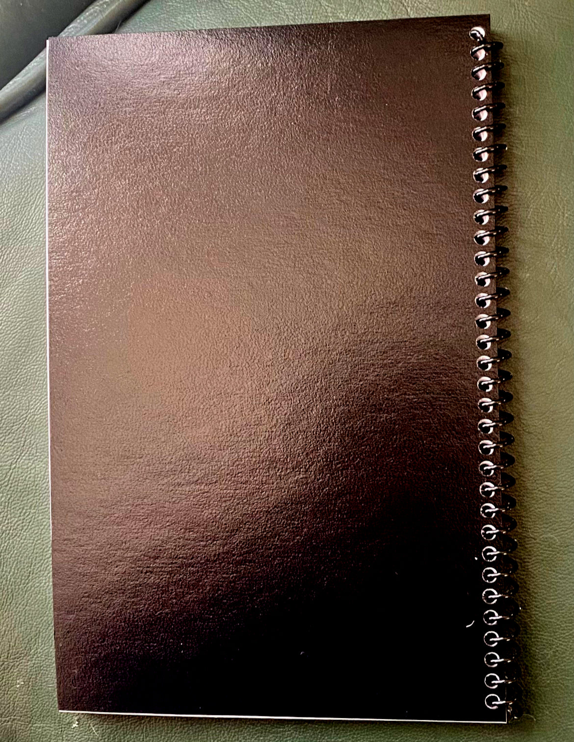 Beautiful Freckled Girl Blank Notebook