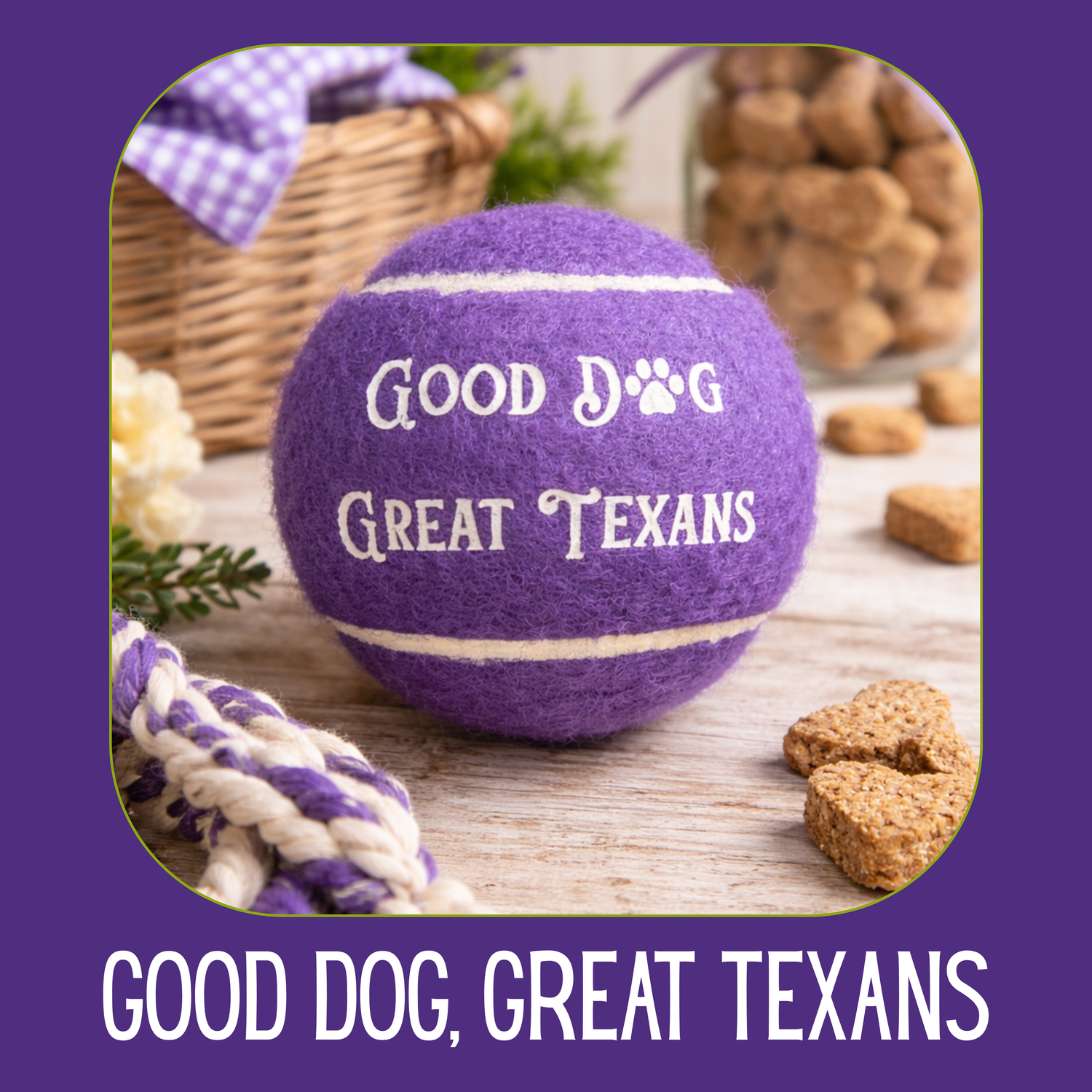 Good Dog, Great Texans
