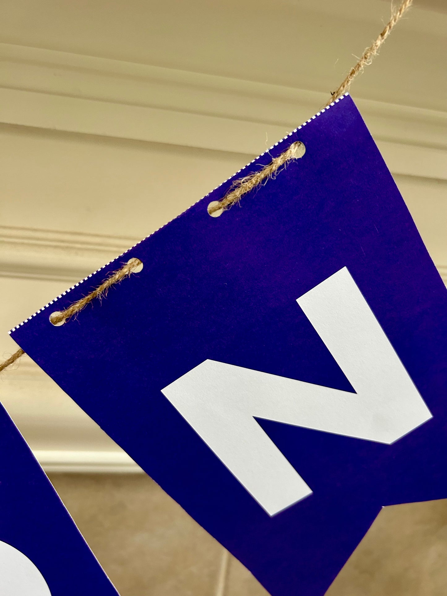 Tarleton Bound Banner with Balloons | College Decision Day Decor | Tarleton Acceptance Party Kit | Tarleton Graduation Celebration