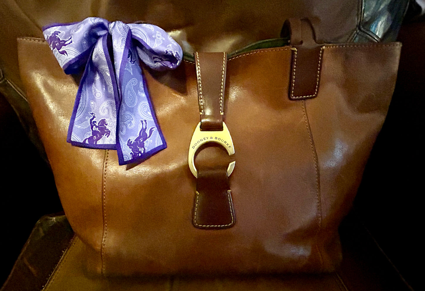Tarleton Silk Twill Ribbon – 2” x 34” | Purple Paisley Twilly Scarf for Bags, Hair, & Gameday | Licensed & Approved Vendor