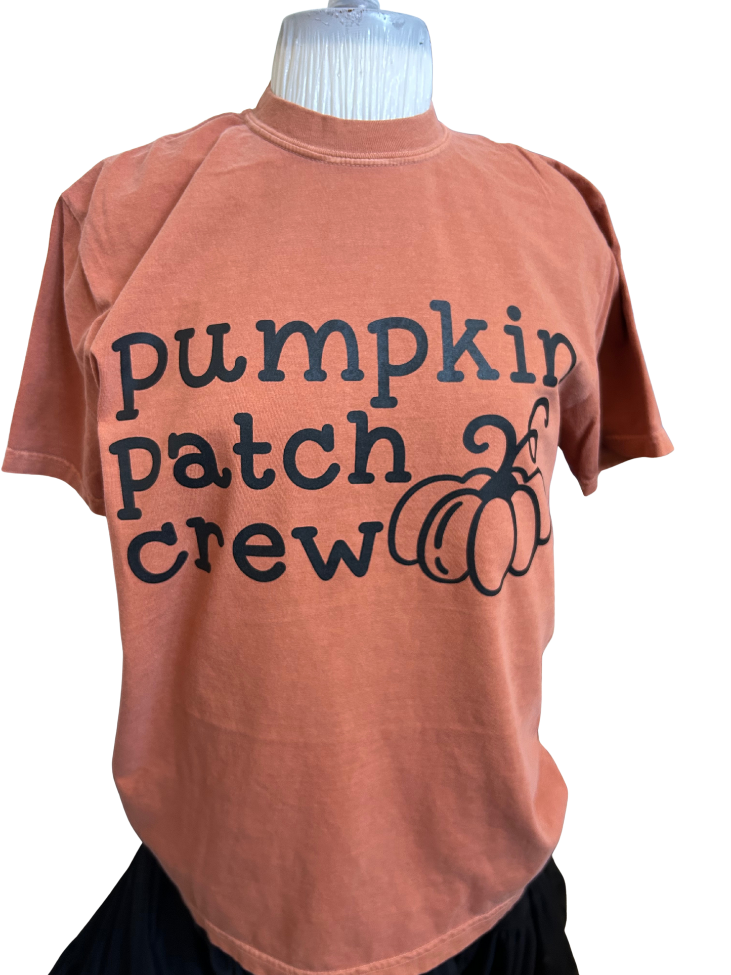Pumpkin Patch Crew T-Shirt | Fall Family Matching Tee | Comfort Colors Rust Orange