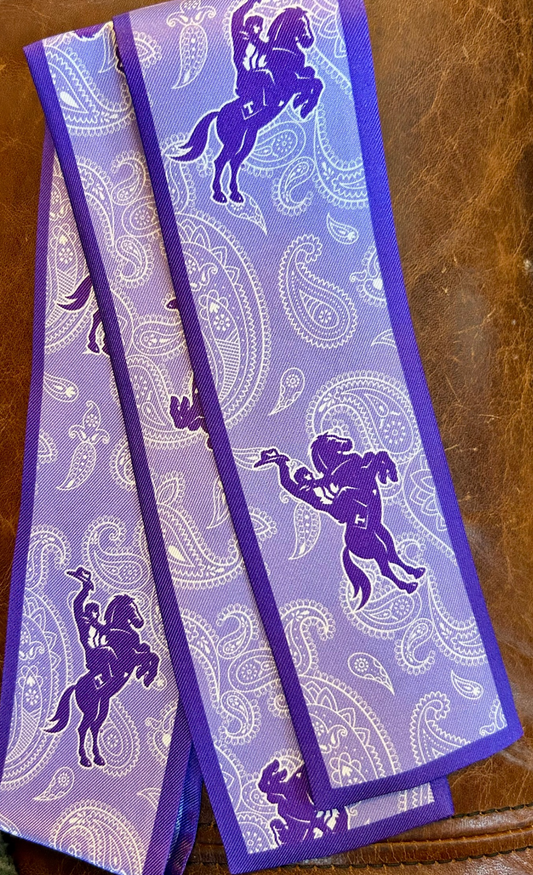 Tarleton Silk Twill Ribbon – 2” x 34” | Purple Paisley Twilly Scarf for Bags, Hair, & Gameday | Licensed & Approved Vendor