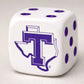 Tarleton Dice Set – 22mm Oversized Dice (Set of 2) | Purple Dot Game Dice with Tarleton Logo | College Game Night Accessory
