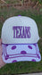Texans Embroidered Baseball Cap – Purple & White Polka Dot Brim | Adjustable | Exclusive Heather & Annie Art Boutique Hat